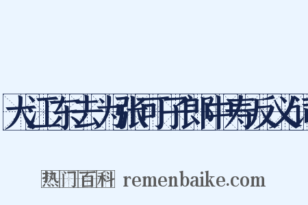 大江东去为张可子郎中寿反义词是什么意思的图片